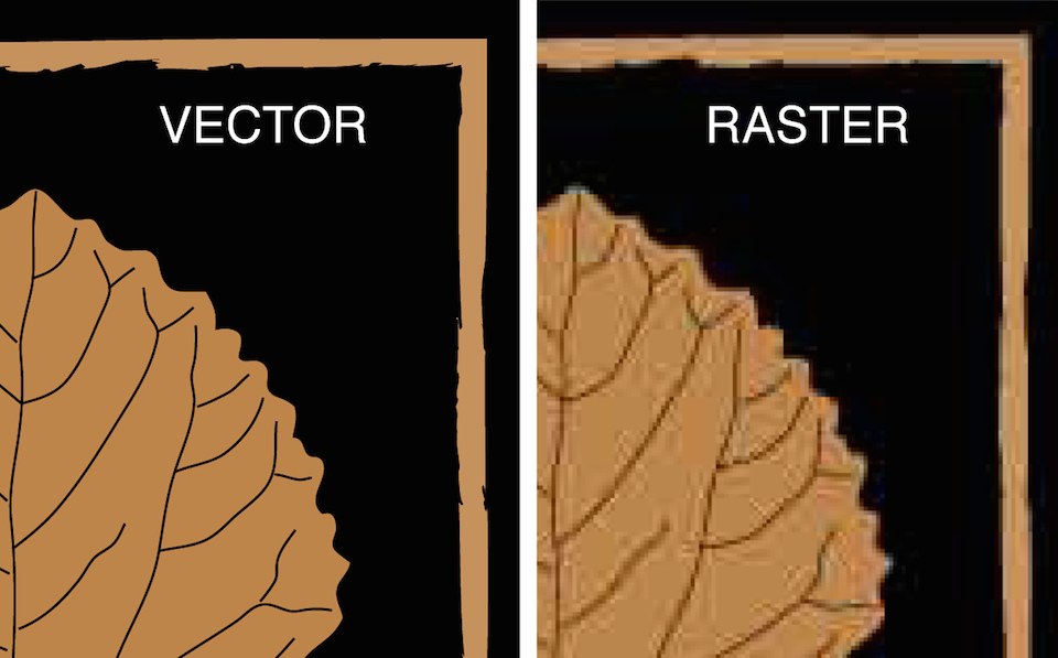 raster vs vector